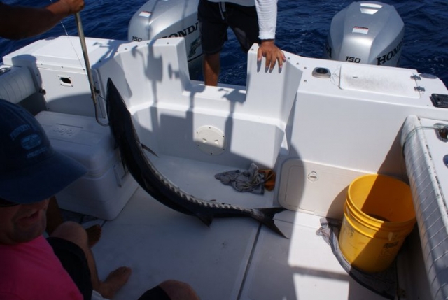 Ausgestattetes Boot 